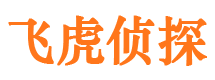 兴山市侦探调查公司